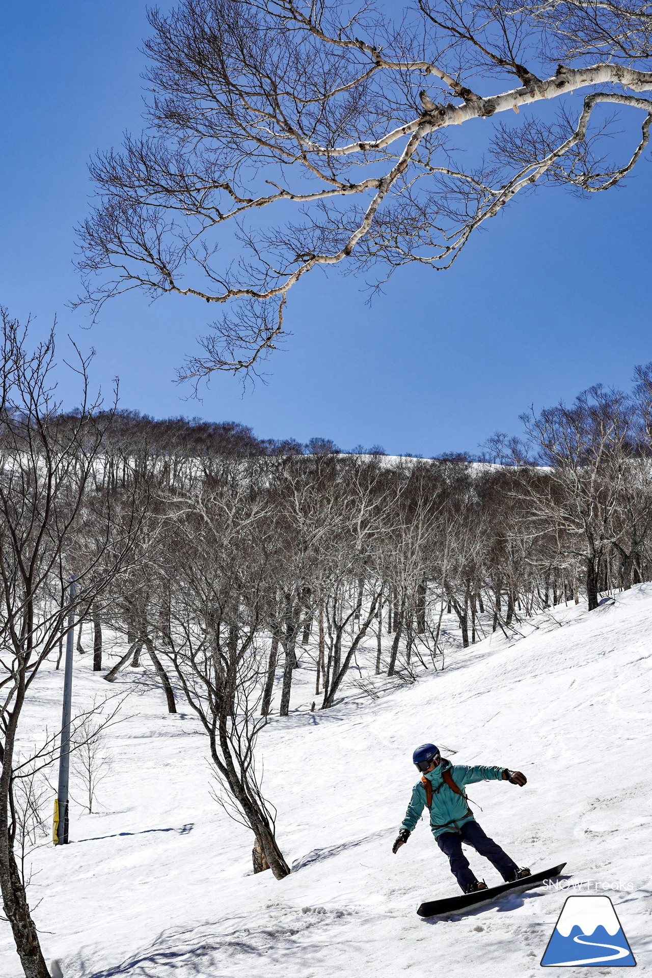 ニセコグラン・ヒラフ DYNASTAR SKI TEST RIDE DAYS Photo Session!!最高の天気に恵まれたニセコに、最高の仲間たちが集まりました☆